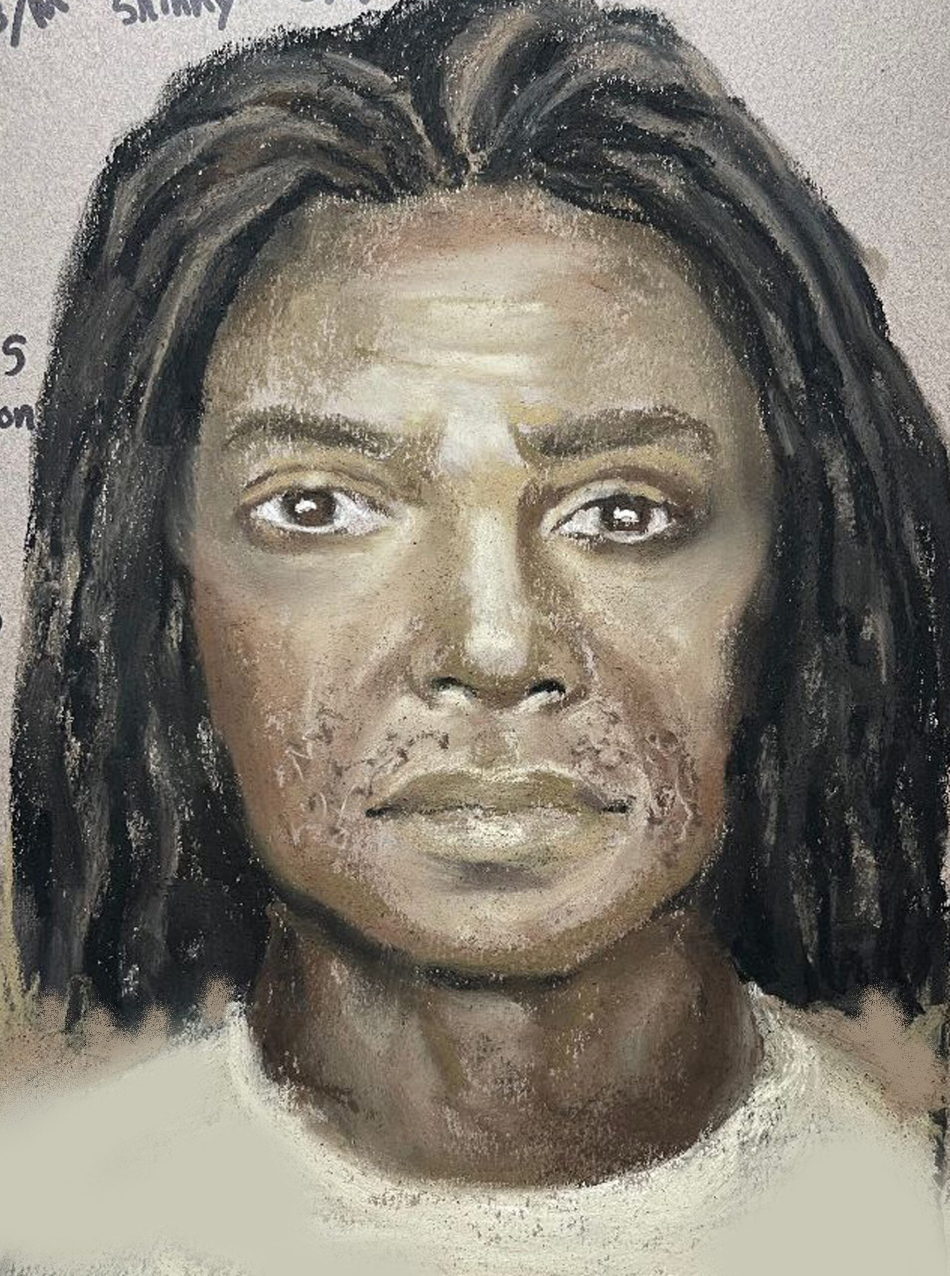 HCSO 2502 00739 Agg Kidnapping Sex. Asslt of a Child @ 6300 Greenhouse Rd SUSPECT SKETCH scaled Houston Crime Stoppers